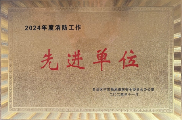 筑牢安全基石 强化消防管控|3377体育官网荣获2024年度消防工作先进单位