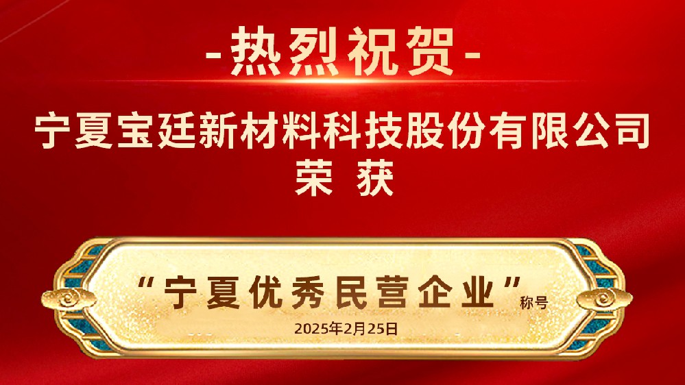 奋楫扬帆  笃实前行 |3377体育官网荣获“宁夏优秀民营企业称号”