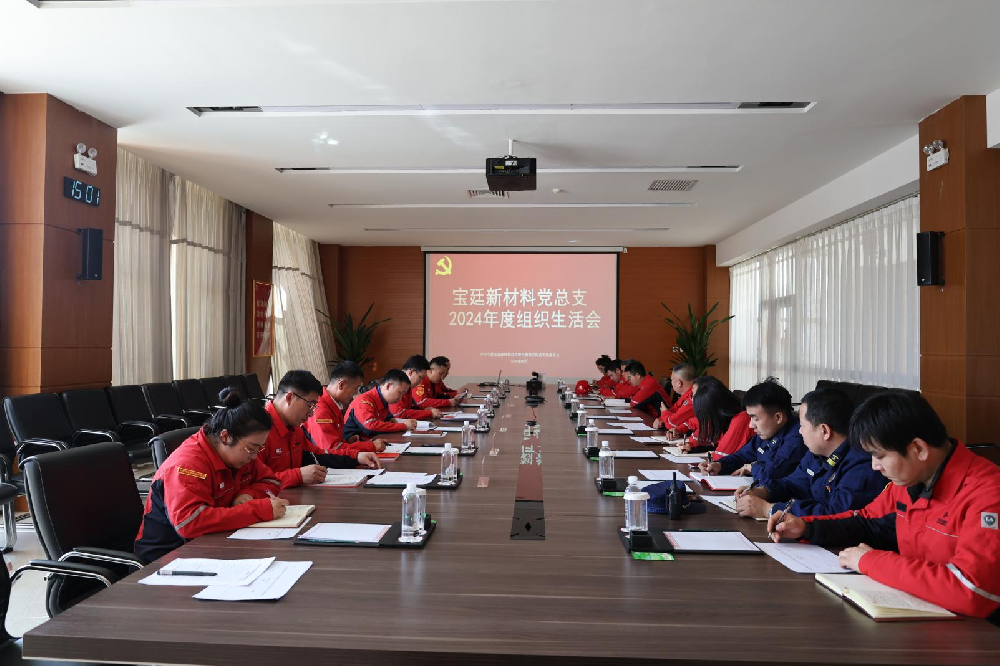 3377体育官网党总支召开2024年度 组织生活会和民主评议党员大会