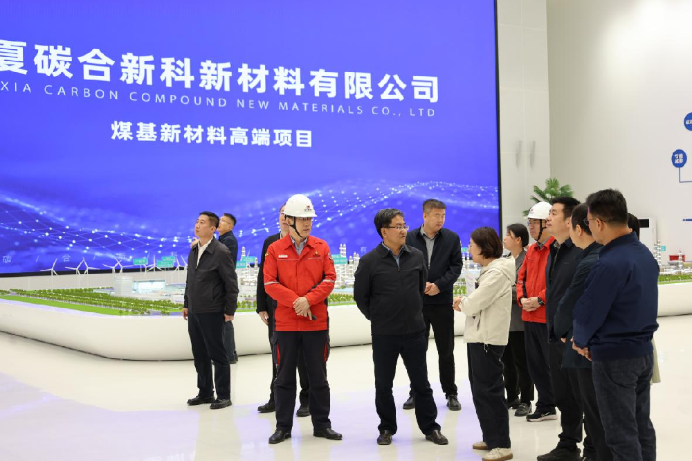 自治区政协领导一行赴3377体育官网开展考察调研